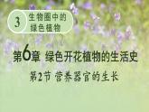 北师大版七年级上册生物教学课件 第6章 绿色开花植物的生活史 第2节 营养器官的生长