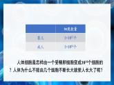 北师大版七年级上册生物教学课件 第3章 细胞 第3节 细胞通过分裂而增殖