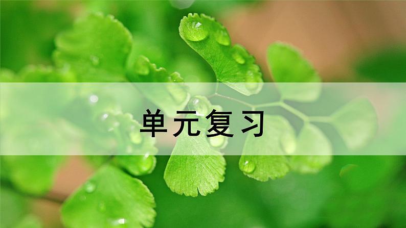 北师大版七年级上册生物教学课件 第3单元 生物圈中的绿色植物 单元复习01