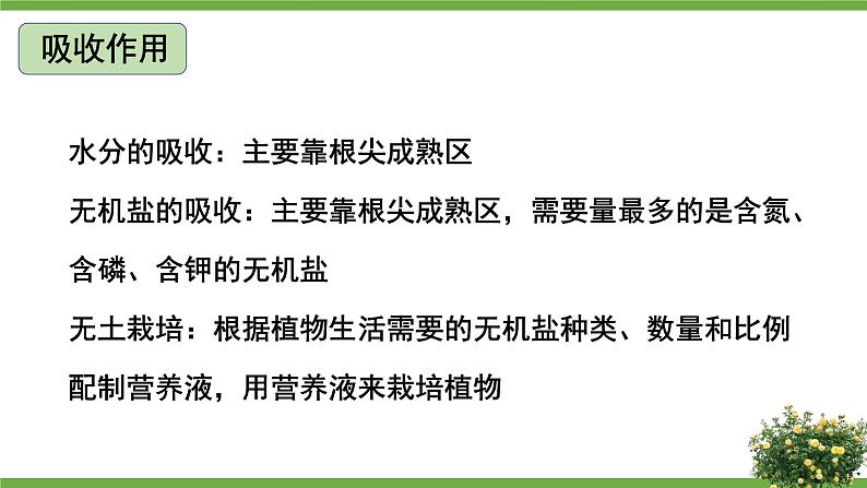 北师大版七年级上册生物教学课件 第3单元 生物圈中的绿色植物 单元复习05