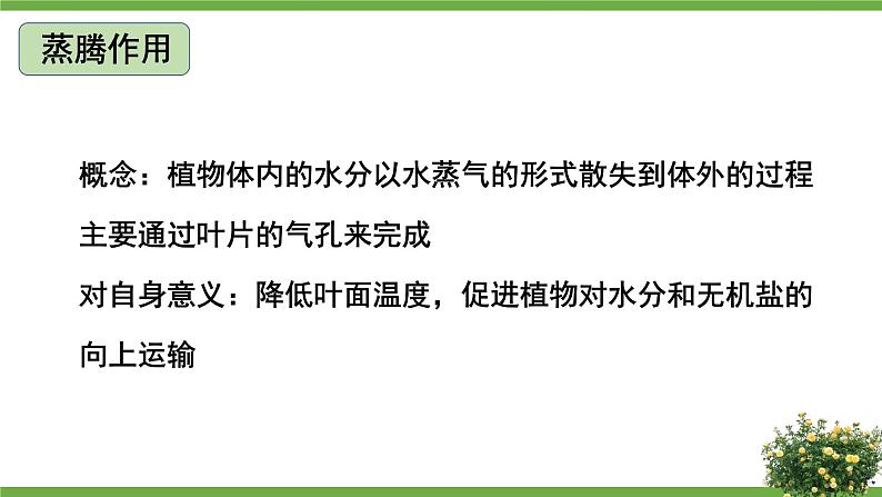 北师大版七年级上册生物教学课件 第3单元 生物圈中的绿色植物 单元复习06