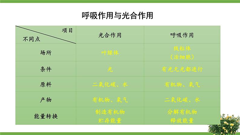 北师大版七年级上册生物教学课件 第3单元 生物圈中的绿色植物 单元复习08