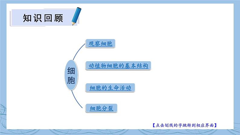 北师大版七年级上册生物教学课件 第2单元 生物体的结构 单元复习02