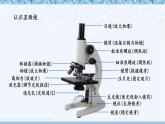 北师大版七年级上册生物教学课件 第2单元 生物体的结构 单元复习