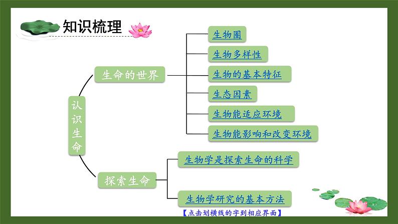 北师大版七年级上册生物教学课件 第1单元 认识生命 单元复习02