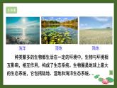 北师大版七年级上册生物教学课件 第1单元 认识生命 单元复习