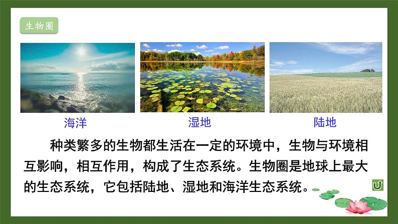 北师大版七年级上册生物教学课件 第1单元 认识生命 单元复习03