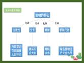 北师大版七年级上册生物教学课件 第1单元 认识生命 单元复习