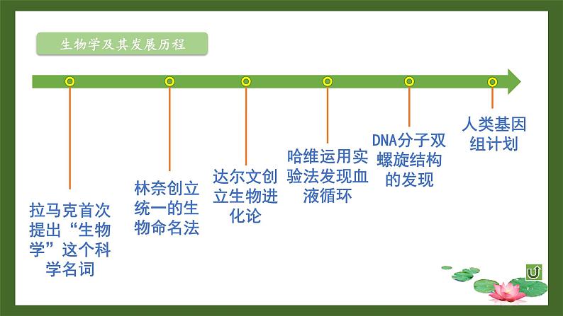 北师大版七年级上册生物教学课件 第1单元 认识生命 单元复习08