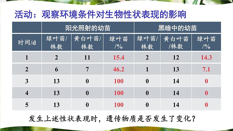 北师大版八年级上册生物教学课件 第6单元 生命的延续 第20章 生物的遗传和变异 第5节 遗传与环境07