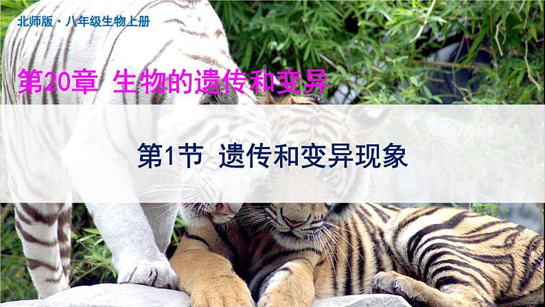 北师大版八年级上册生物教学课件 第6单元 生命的延续 第20章 生物的遗传和变异 第1节 遗传和变异现象第1页