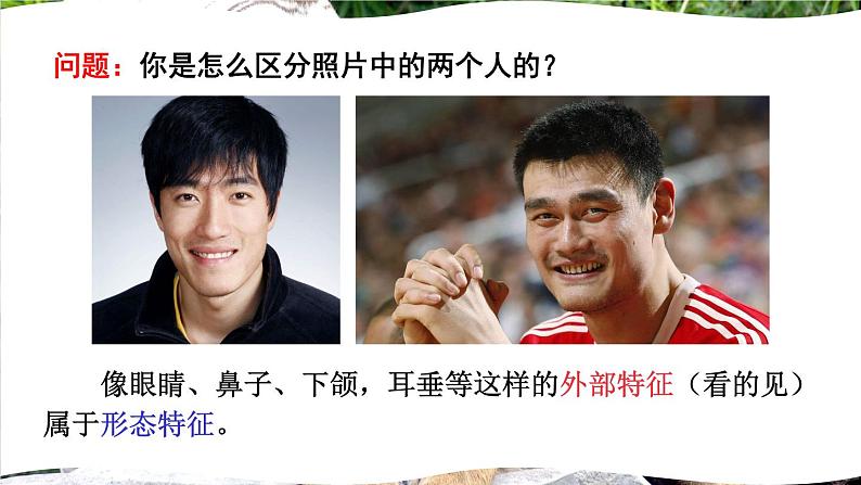 北师大版八年级上册生物教学课件 第6单元 生命的延续 第20章 生物的遗传和变异 第1节 遗传和变异现象第2页