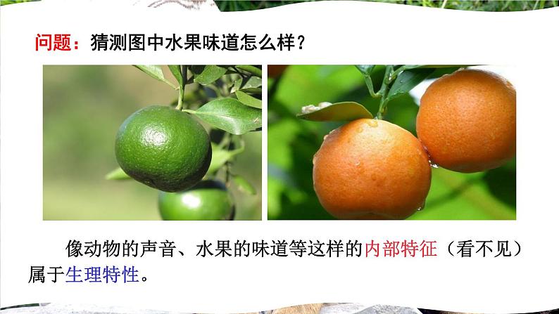 北师大版八年级上册生物教学课件 第6单元 生命的延续 第20章 生物的遗传和变异 第1节 遗传和变异现象第3页