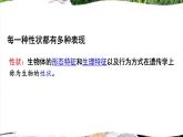 北师大版八年级上册生物教学课件 第6单元 生命的延续 第20章 生物的遗传和变异 第1节 遗传和变异现象