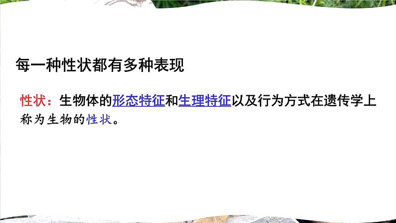北师大版八年级上册生物教学课件 第6单元 生命的延续 第20章 生物的遗传和变异 第1节 遗传和变异现象第4页