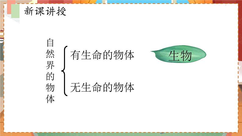 苏教七生上 第一章   1.第一节 我们周围的生物 PPT课件04