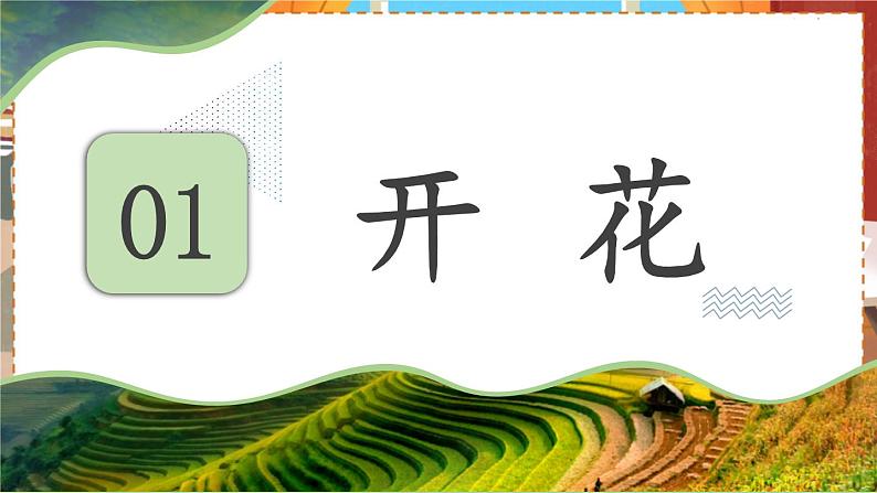 苏教七生上 第五章   16.第五节 植物的开花和结果 PPT课件04