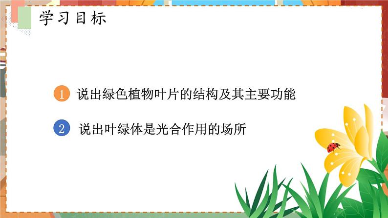 苏教七生上 第六章   18.第二节 植物光合作用的场所 PPT课件03