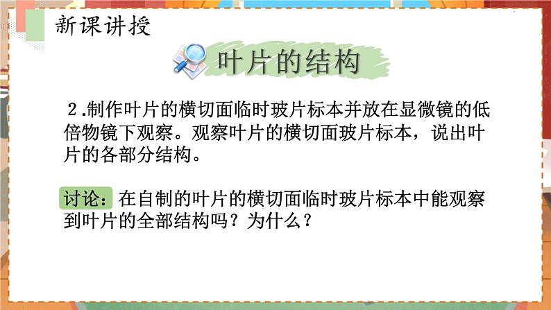 苏教七生上 第六章   18.第二节 植物光合作用的场所 PPT课件07