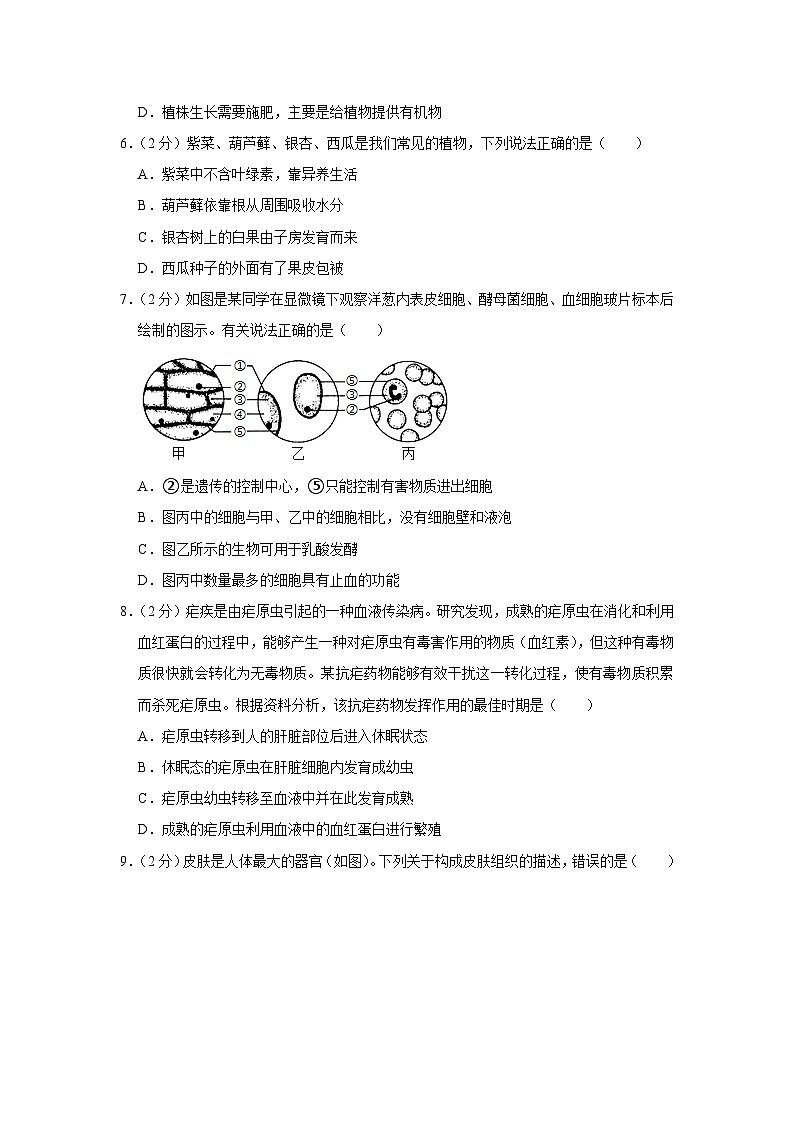 2023年山东省烟台市龙口市中考生物模拟试卷(含答案)第2页
