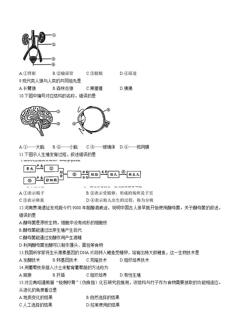 2023年重庆市中考生物真题(含答案)第2页