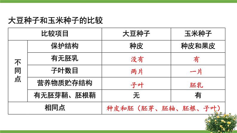 北7生物上 3.6 第1节 种子萌发形成幼苗 PPT课件+教案08