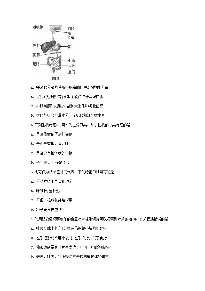 _2019年江苏连云港中考生物真题及答案02