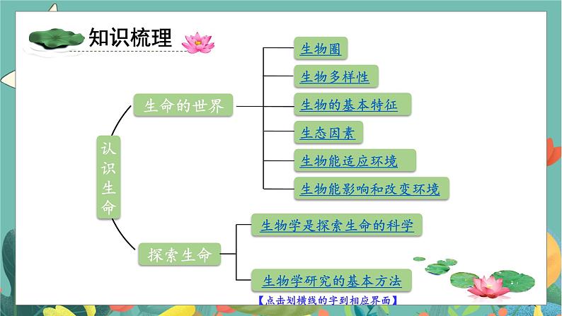 北7生物上 1.3单元复习 PPT课件第2页