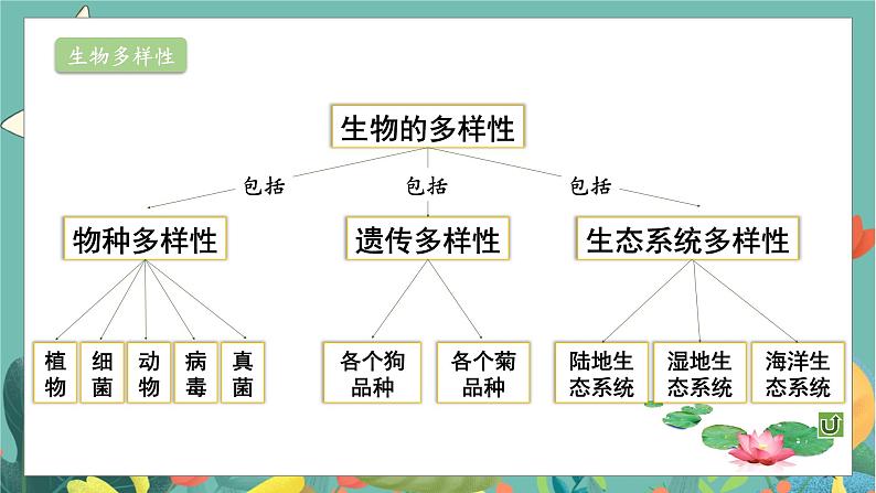 北7生物上 1.3单元复习 PPT课件第4页