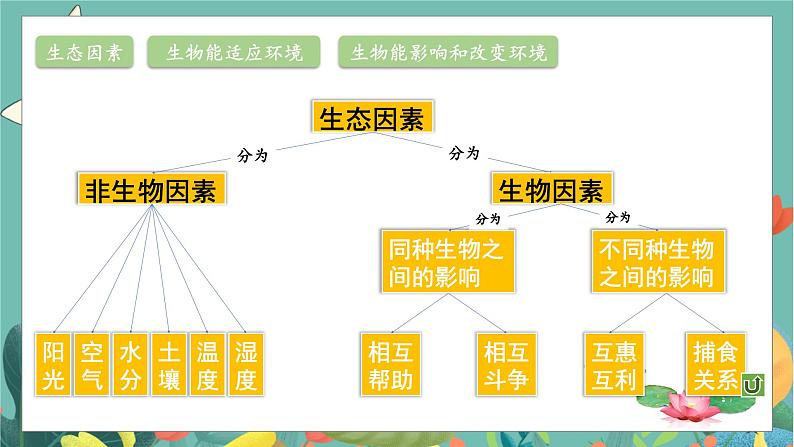 北7生物上 1.3单元复习 PPT课件第6页