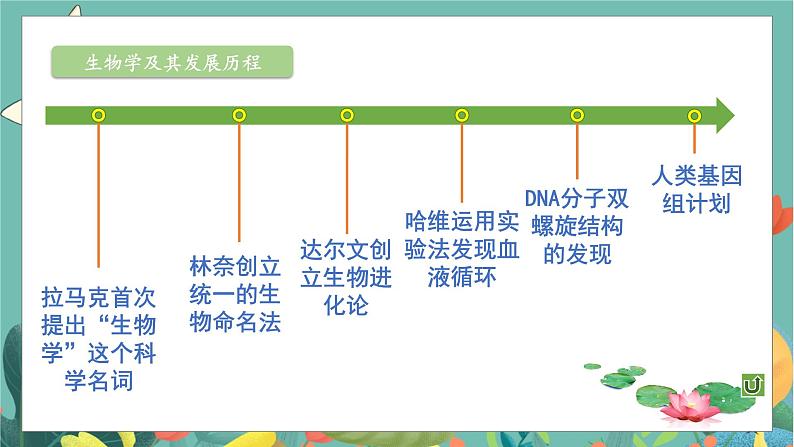 北7生物上 1.3单元复习 PPT课件第8页