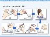 北7生物上 2 单元复习 PPT课件