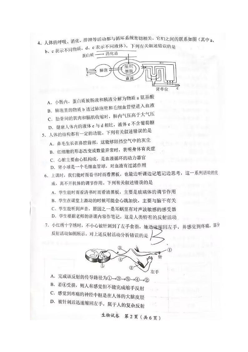 2023年四川省宜宾市八年级初中学业水平测试生物试题02