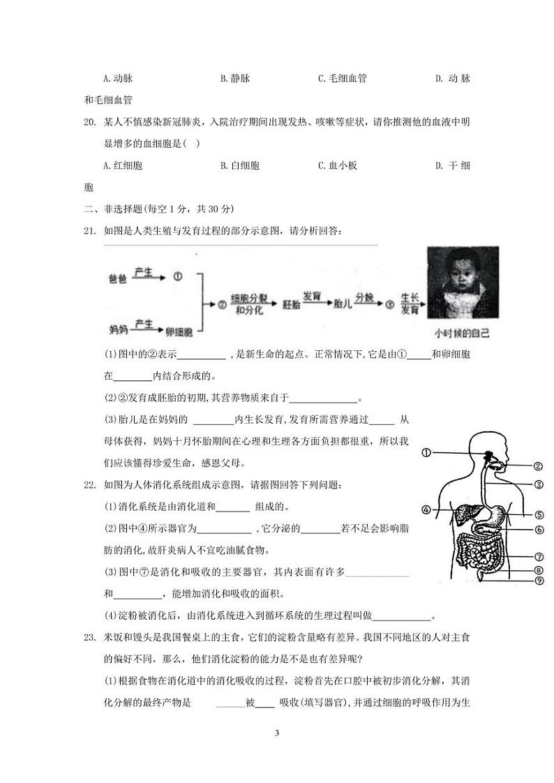 河南省商丘市夏邑县2022-2023学年七年级下学期期中生物试题及参考答案第3页