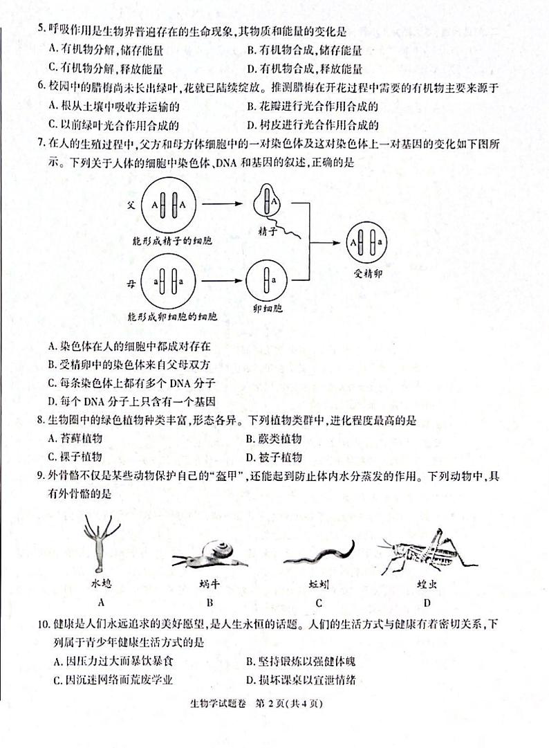2023年安徽省中考生物真题无答案02