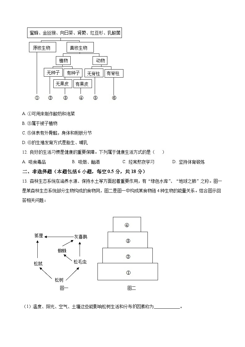 辽宁省丹东市2023年初中学业水平网上阅卷模拟考试生物试题第3页