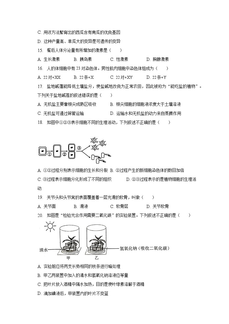 2023年河南省商丘市虞城县部分学校中考生物二模试卷（含解析）第3页