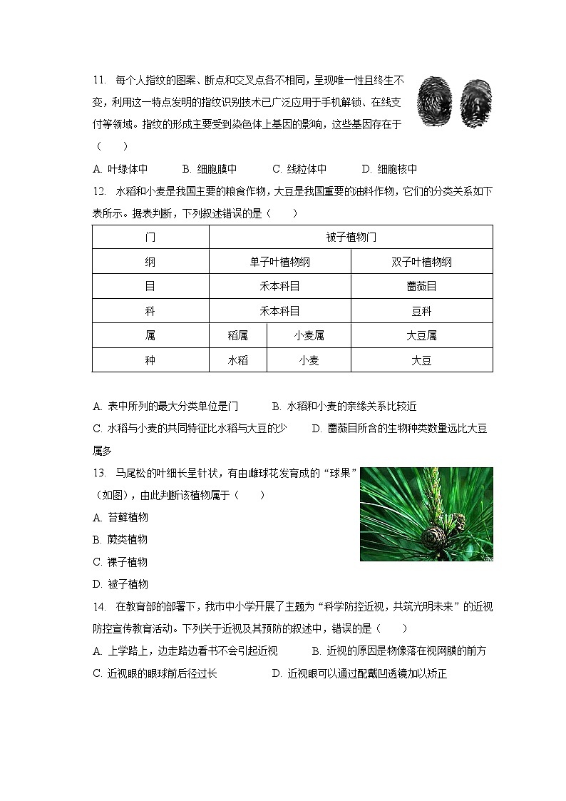 2023年山东省聊城市临清市中考生物三模试卷（含解析）03