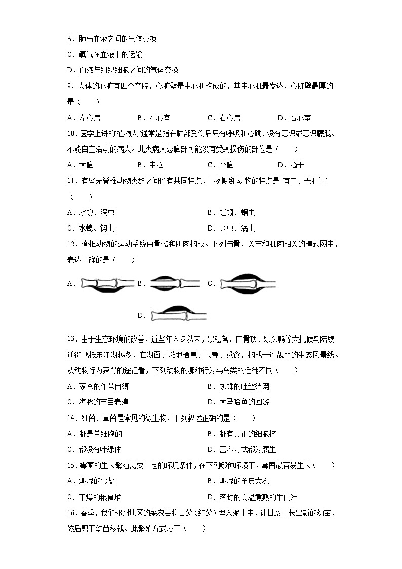 2023湖南郴州市资兴市中考二模生物试题（含答案）02