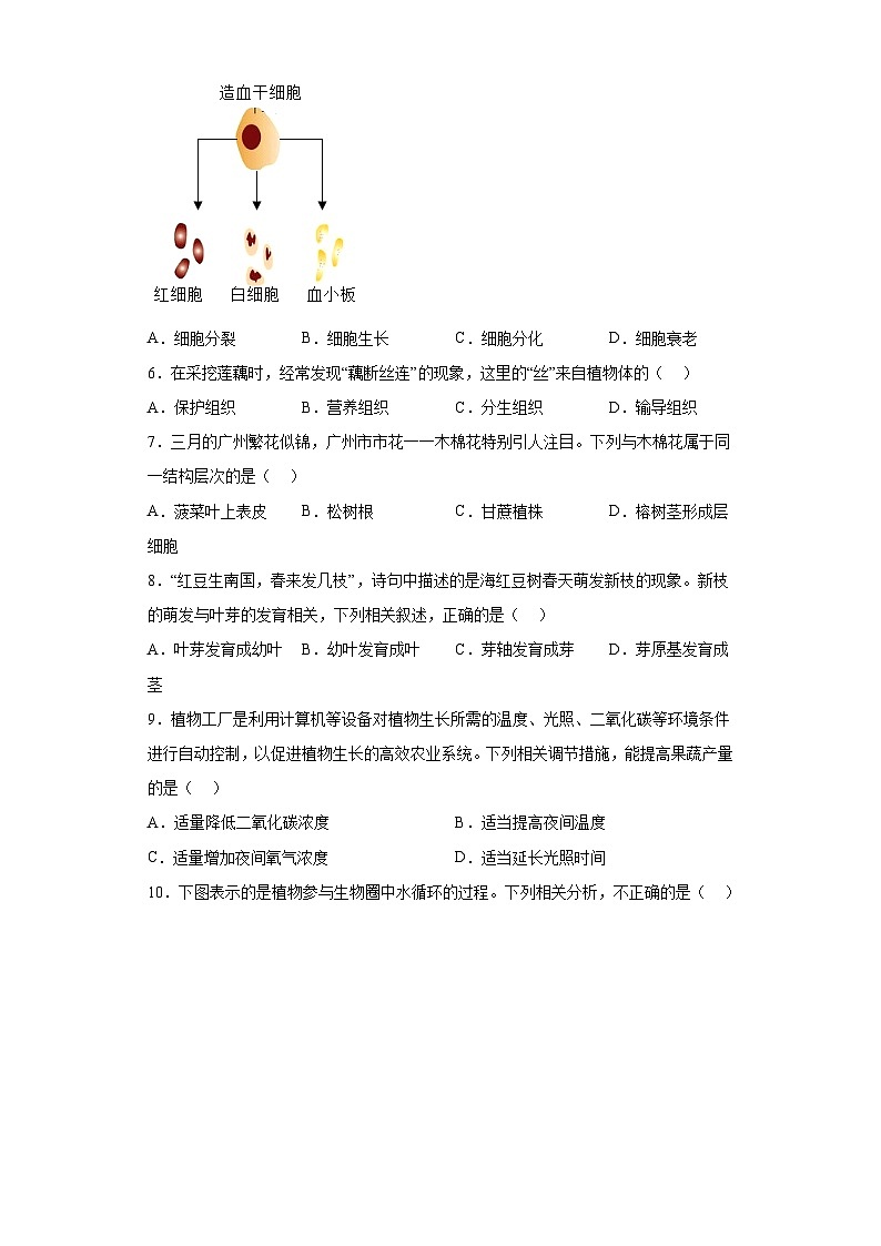 2022年广东省广州市中生物真题（含答案）第2页