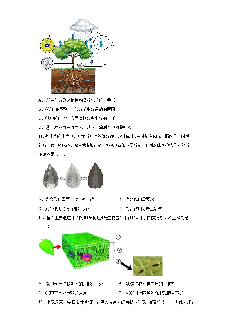 2022年广东省广州市中生物真题（含答案）第3页