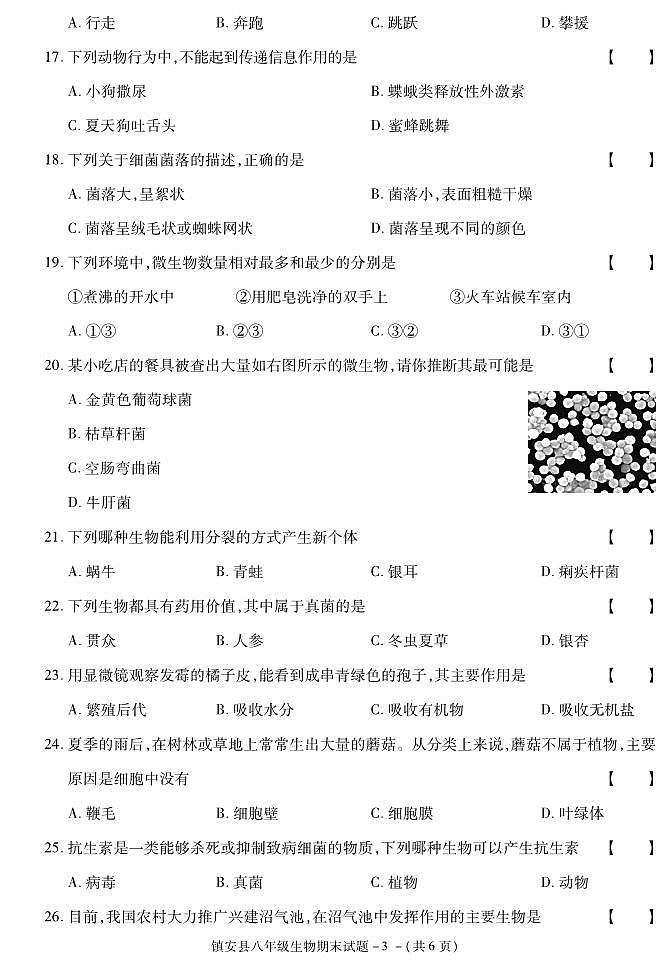 陕西省商洛市镇安县2020-2021学年八年级上学期期末考试生物试卷第3页