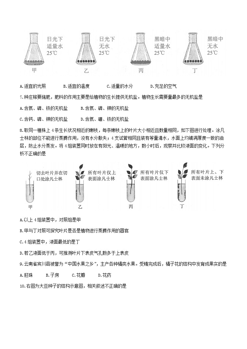 2023年云南省中考生物真题(无答案)02