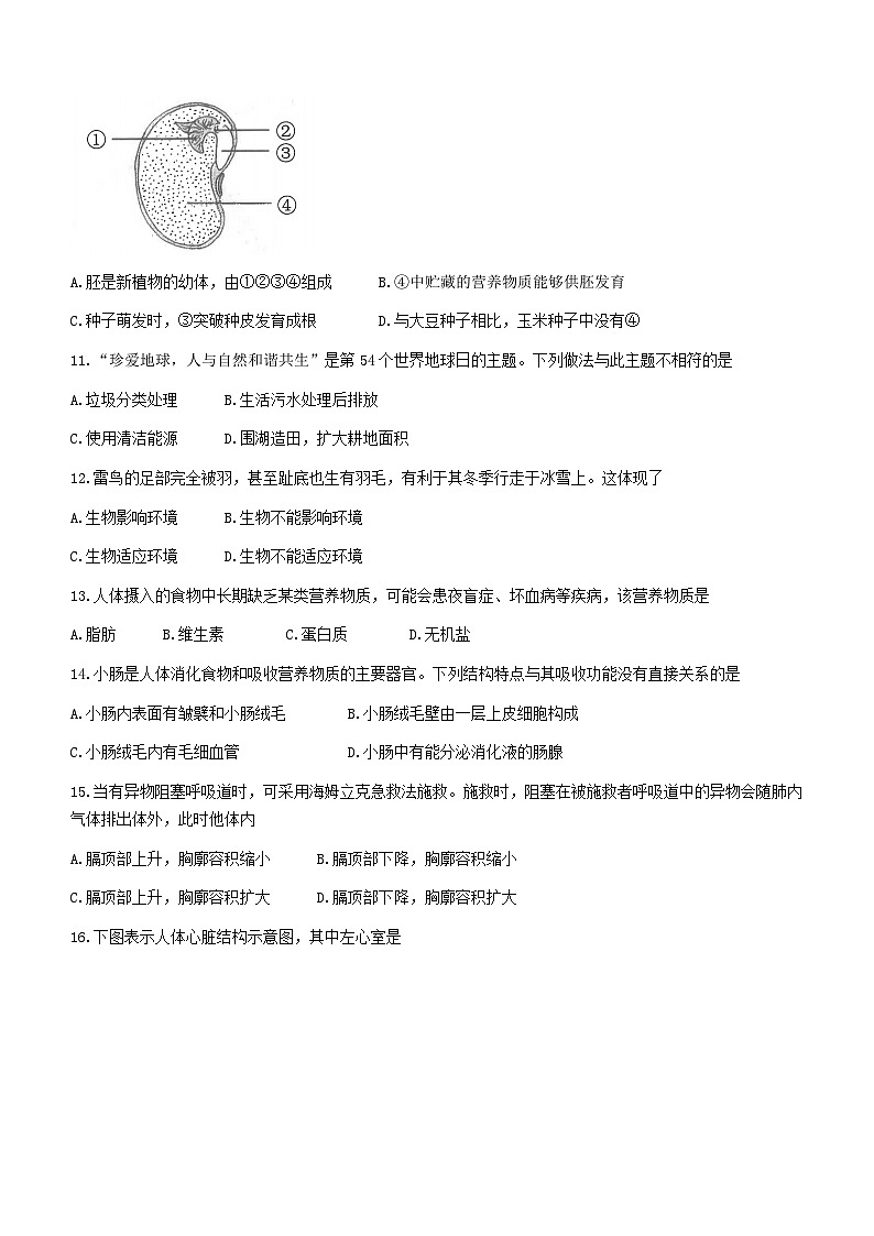 2023年云南省中考生物真题(无答案)03