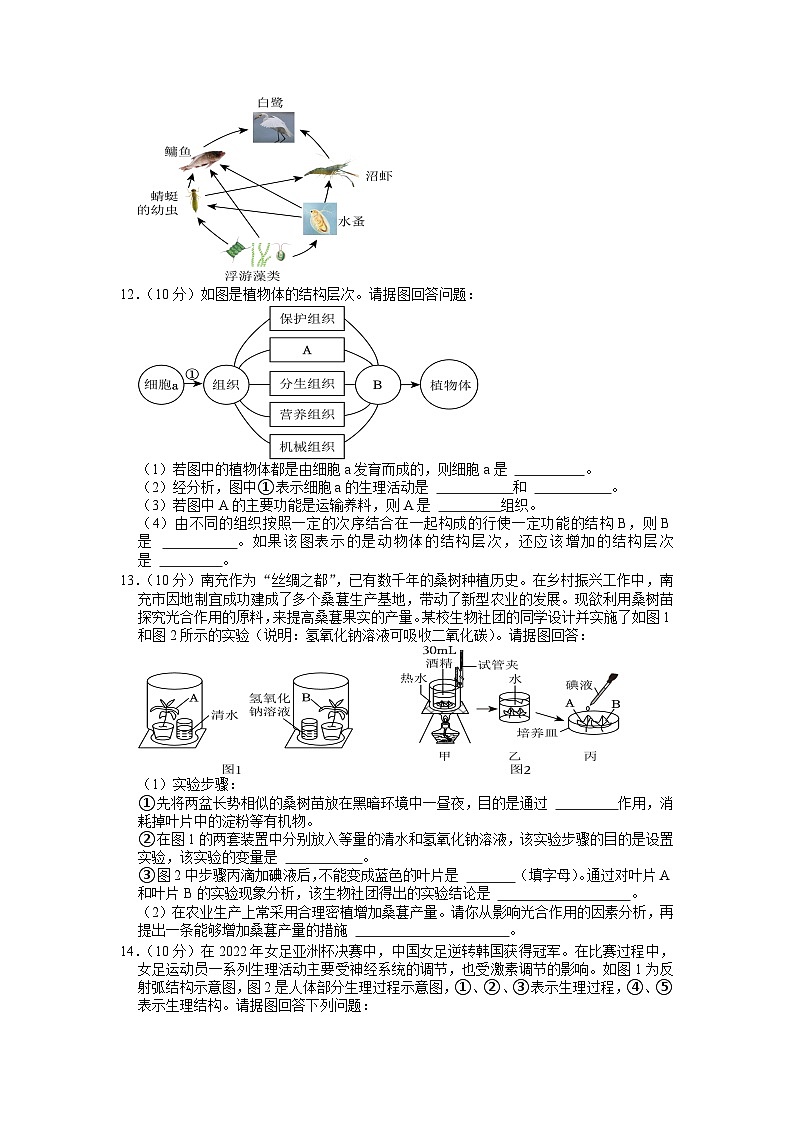 2023年四川省南充市中考生物真题03