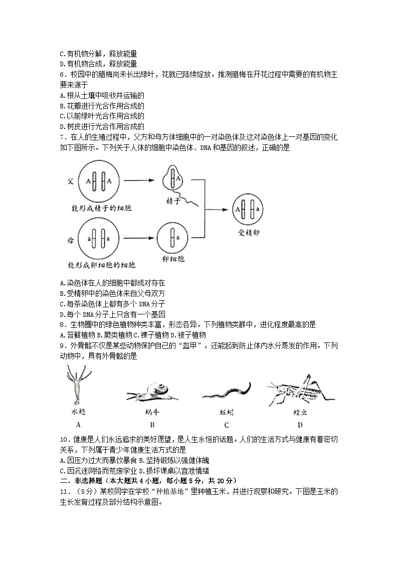 2023年安徽省中考生物真题02
