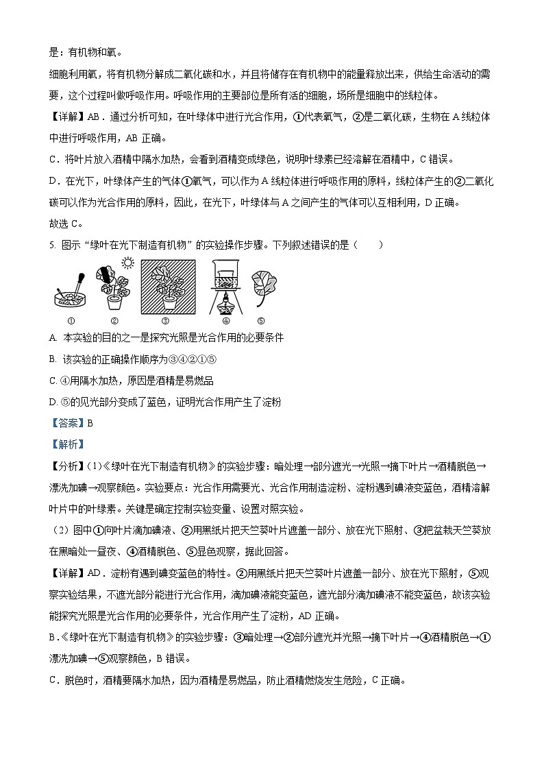 精品解析：2023年江苏省泰兴市洋思中学中考三模生物试题（解析版）03
