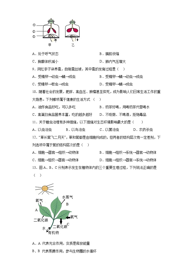 2020年湖南省怀化市中考生物真题（含答案）02