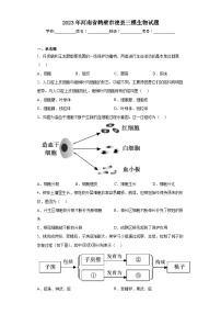 2023年河南省鹤壁市浚县三模生物试题（含答案）