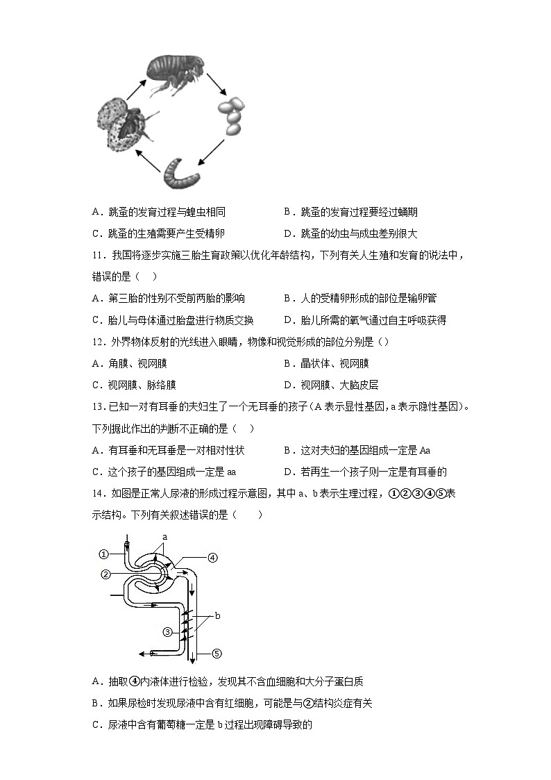 2023年河南省鹤壁市浚县三模生物试题（含答案）03